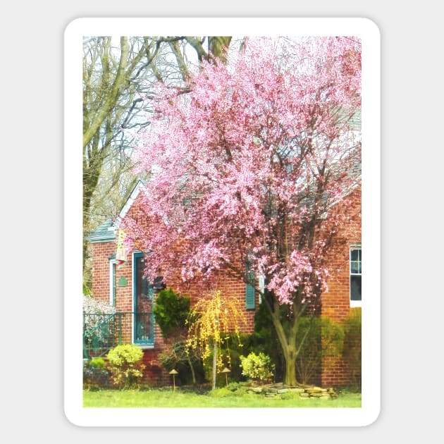 Spring - Cherry Tree by Brick House Sticker by SusanSavad